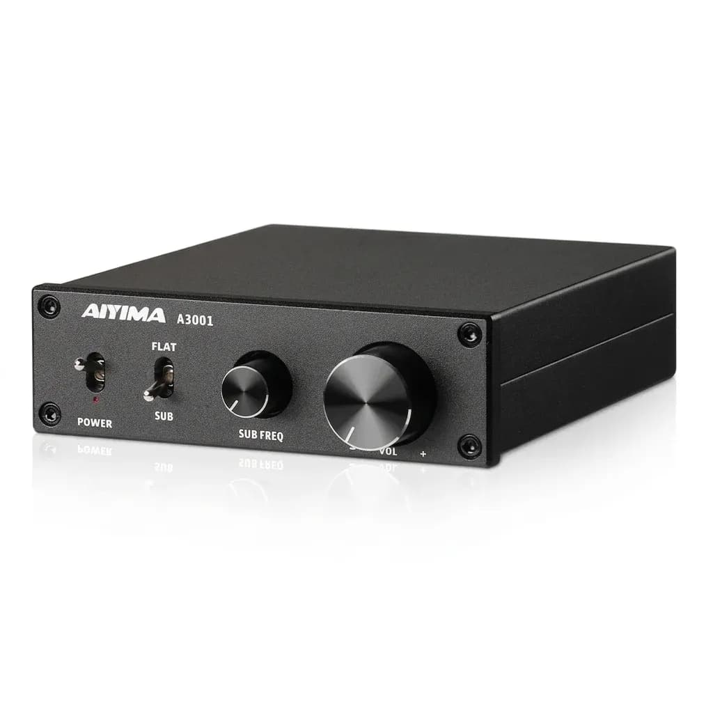 AIYIMA A3001 Mono Subwoofer Power Amplifier