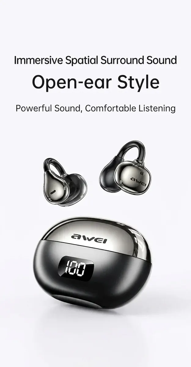 Awei TZ50 clip earphones with case